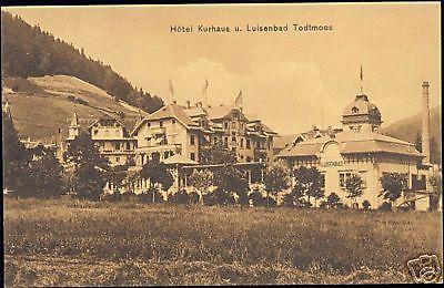 germany, TODTMOOS, Hotel Kurhaus und Luisenbad (1906)