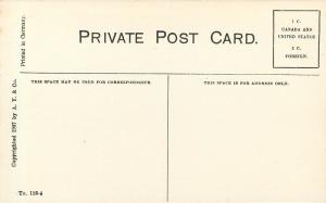 c1907 Postcard Medicine Lodge Blackfoot Indians Teepees Native Americana Plains
