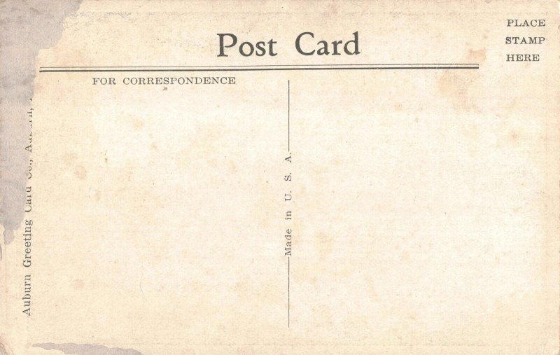 c.1907-15 Postcard Bird's Eye View East Mountain Eureka Springs Ark. 2R4-332 