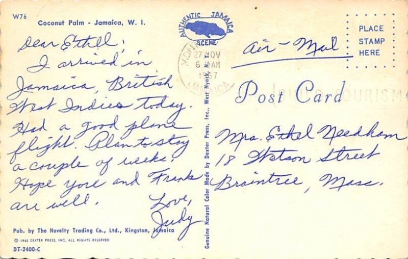 Coconut Palm Jamaica 1967 