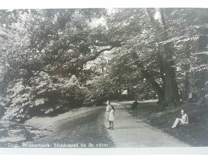 Vintage Dutch RP Postcard Zeist Walkartpark Middenpad Bij De Vijver