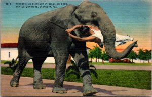 Linen Postcard Performing Elephant at Ringling Brothers Circus Sarasota, Florida
