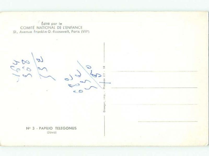 foreign 1950's Postcard BUTTERFLY AT MUSEUM IN PARIS FRANCE AC3779-12