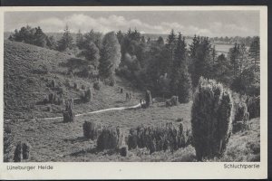 Germany Postcard - Luneburger Heide  A9725