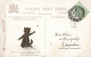 Douglas Tempest Artist ORIGINAL Cat Raphael Tuck Postcard Back