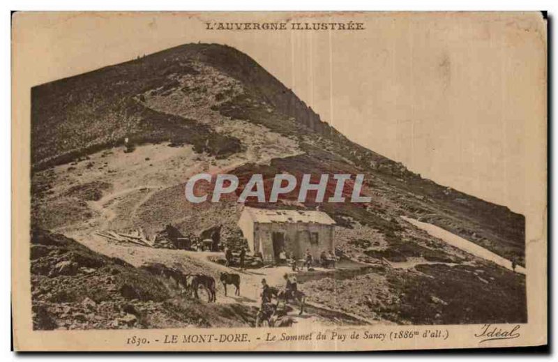 Old Postcard Le Mont Dore Summit of Puy de Sancy (1886m of all) Donkey Donkey