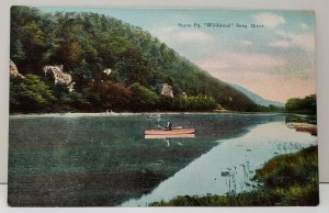 Sayre PA WILDWOOD Susquehanna River c1907 Postcard C1