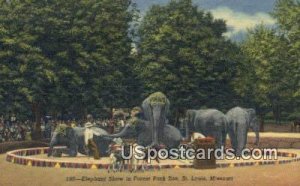 Elephant Show, Forest Park Zoo in St. Louis, Missouri