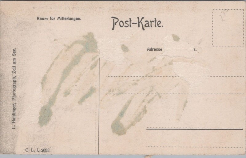 Austria Zell am See Gegen die Hohen Tauern Vintage Postcard C137