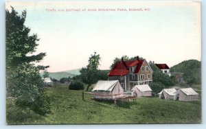 SEBAGO, Maine ME ~ Handcolored DYKE MOUNTAIN FARM Tents & Cottage 1916 Postcard