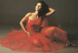 Sandra Ann Lauer German Singer Hand Signed Photo Postcard