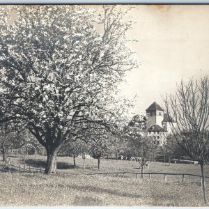 c1910s Germany RPPC Blossoming Fruit Tree Church Tower Orchard Spring Scene A337