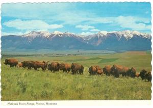 MT. Montana, National Bison Range, Montana Postcard