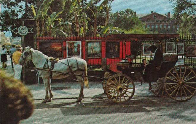 Louisiana New Orleans French Quarter Sightseeing Carriage 1972