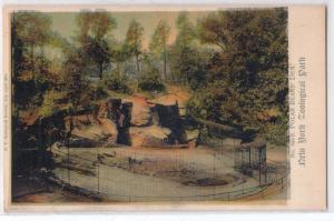 Polar Bears Den - NY Zoological Park