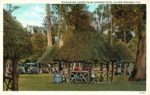 Vintage Postcard 1936 Picknicking Under Palm Covered Huts Silver Springs Florida