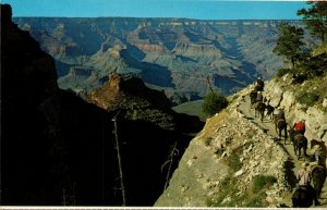 Arizona Grand Canyon Mule Train On The Bright Angel Trail