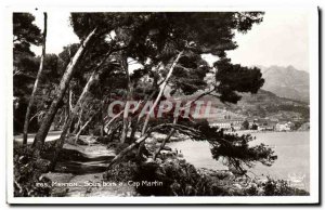 Old Postcard Menton Undergrowth in Cap Martin