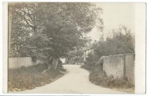 Unidentified Village Scene RP PPC, Unposted, Lane with Overgrowth Beside Cottage