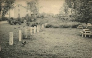 Earleville Maryland MD White Crystal Beach Grove Vintage Postcard