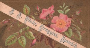 1880s-90s Pink Flowers John A Blake Druggist Ipswich MA Trade Card