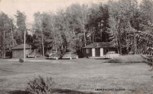 Canada Postcard Real Photo RPPC Ontario c1950s BOBCAYGEONI Triplewood Lodge 65