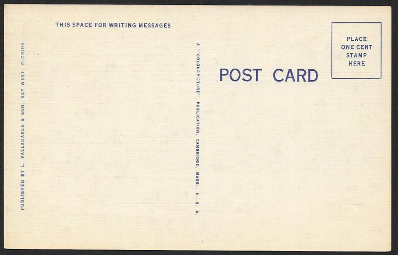 Naval Receiving Station Barracks & Chow Hall Key West Florida Unused c1940s