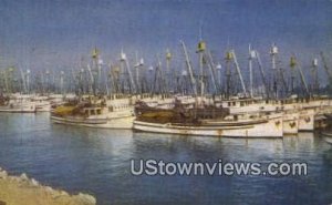 Fishing Fleet, Fisherman's Wharf - San Pedro Harbor, California CA  