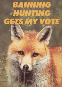Ban Fox Hunting Anti Blood Sports Vote Council Protest Postcard