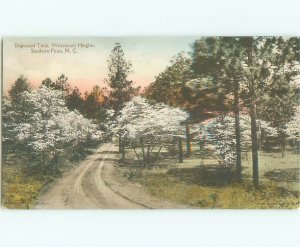 1920's ROAD AT WEYMOUTH HEIGHTS Southern Pines - Near Pinehurst NC AD5654