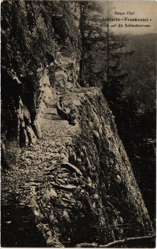 CPA AK Neuer Pfad Schlucht-Frankental Blick auf die Schluchterstrasse (451954)