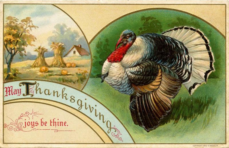 Greeting - Thanksgiving, Turkey