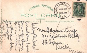 Vintage Postcard 1911 Tropical Islands Getaways St. Augustine Florida Attraction