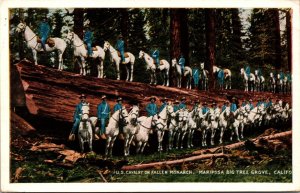 US Cavalry on Fallen Monarch Maripose Big Tree Grove Redwood California Postcard