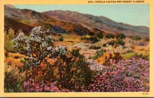 Cholla Cactus and Desert Flowers Curteich