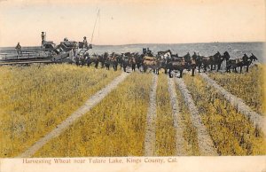 Harvesting Wheat, Tulare Lake Kings County, California, USA Farming Unused 