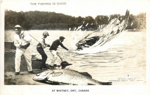 Postcard RPPC 19410s Canada Whitney Ontario fishing exaggeration CD24-2212