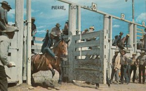 PIERRE , South Dakota , 1950-60s ; Rodeo