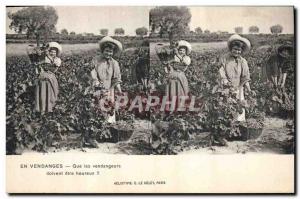 Postcard Old Wine Harvest What pickers should be happy