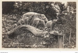 RP: Elephants statue , Bernheimer Japanese Gardens , California , 1920-30s