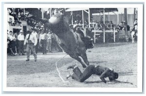 1941 Iowa's Championship Rodeo Horse Cowboy Contest Sidney Iowa Antique Postcard