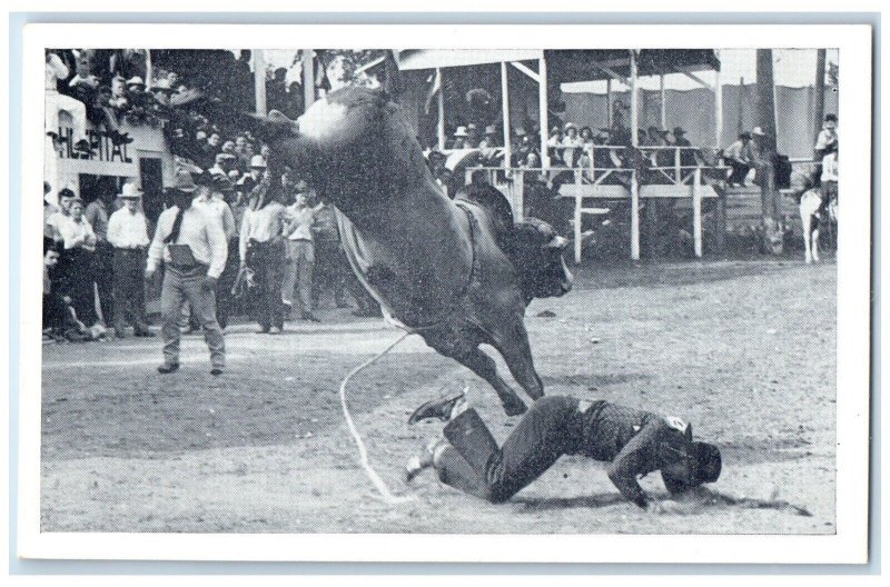 1941 Iowa's Championship Rodeo Horse Cowboy Contest Sidney Iowa Antique Postcard