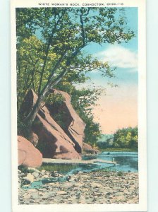 W-border NATURE SCENE Coshocton Ohio OH AD4568