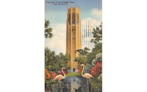 Flamingos at the Singing Tower Lake Wales, Florida  