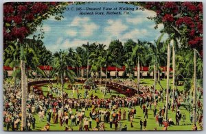 Vtg Florida FL Unusual View of Walking Ring Hialeah Park 1950s Linen Postcard