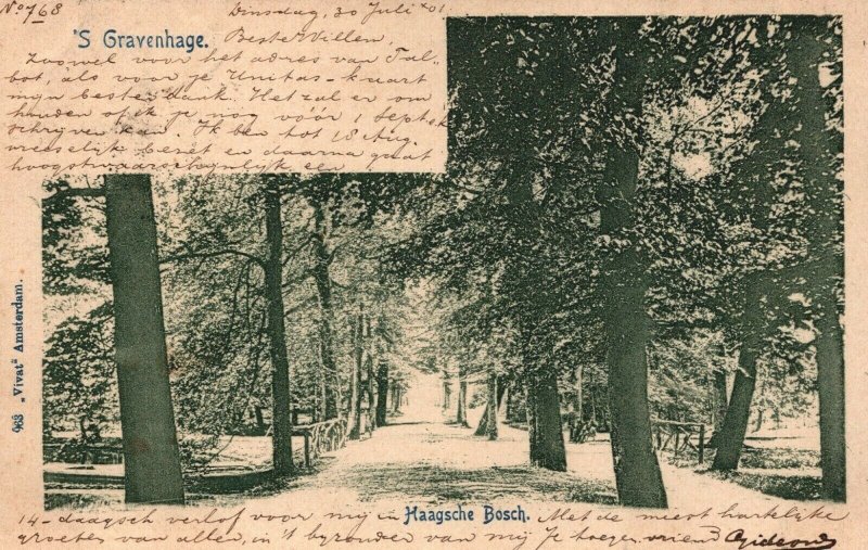 Netherlands Den Haag The Hague Haagsche Bosch Vintage Postcard 03.74