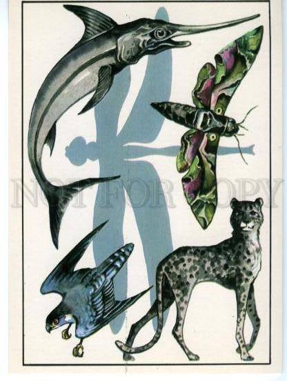 152572 Dragonfly Swordfish cheetah FALCON old Russian PC