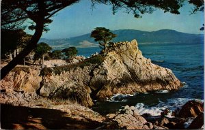 Midway Point Carmel Bay Monterey Cypress California Ocean Chrome Postcard 