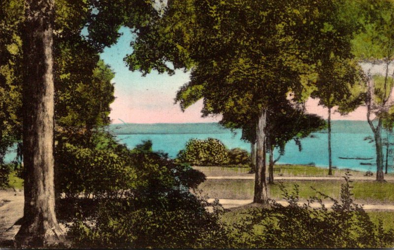 New York Chautauqua Lake From The Promenade Handcolored Albertype ...