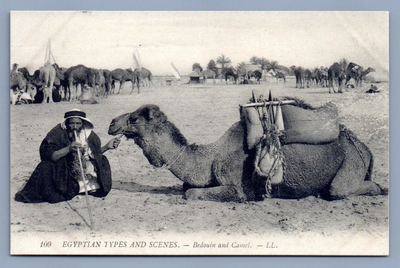 Egypt Postcard Mobile Desert Hookah Man and his Camel